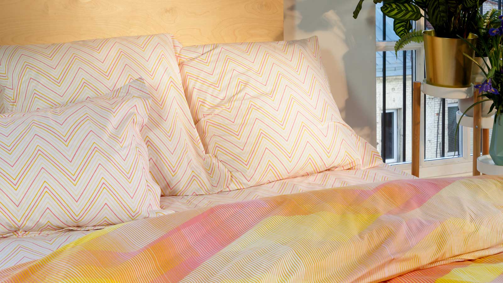 Румба - Фото 5