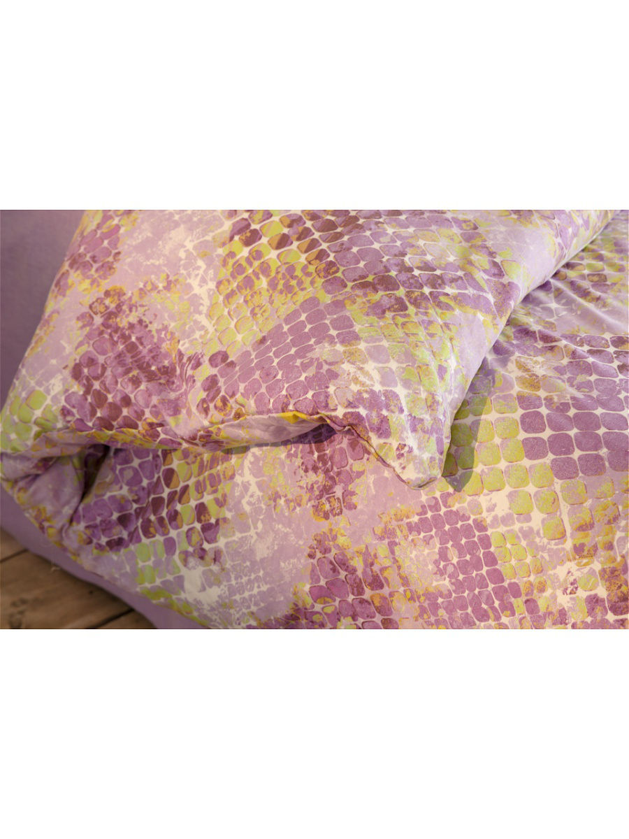 Шарлотта - Фото 6