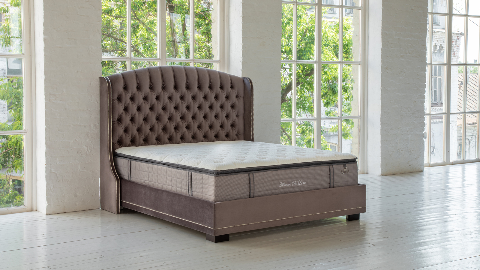 Rachel New - Фото 7