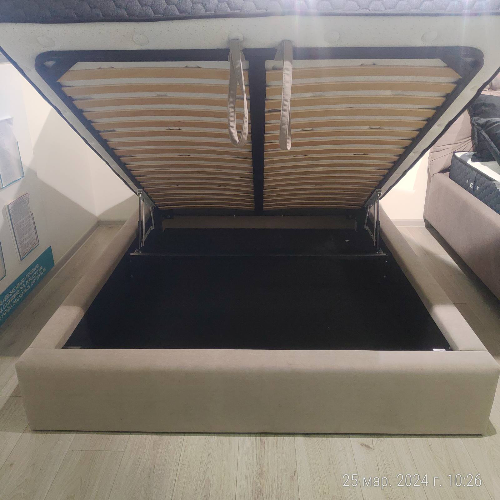 Эмилия - Фото 4