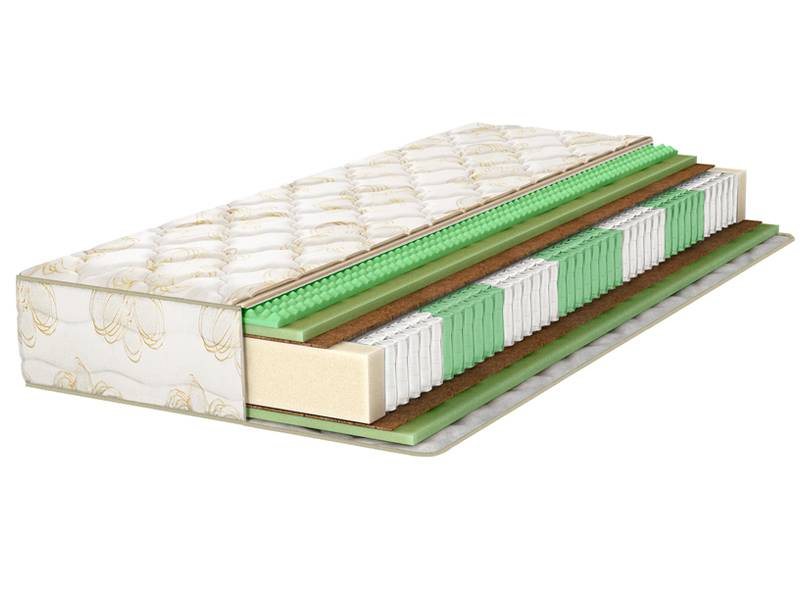 Fitness Leader - Фото 1