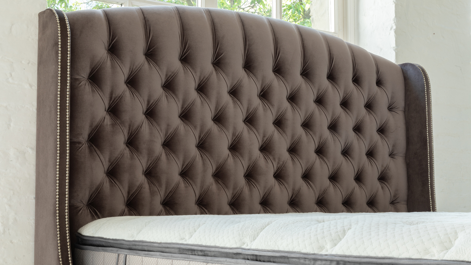 Rachel New - Фото 9